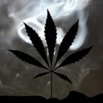 cbd